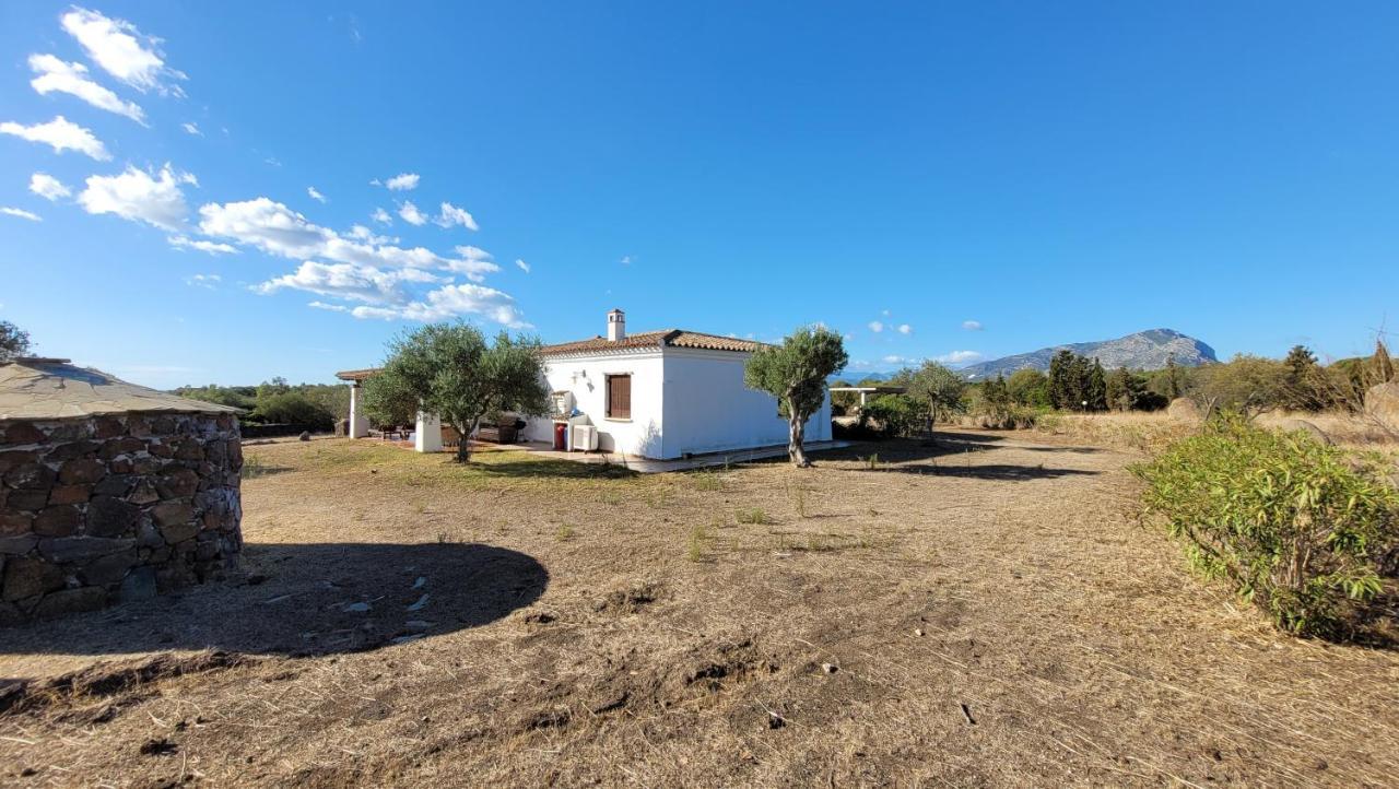 Villa Casa Mate Orosei Εξωτερικό φωτογραφία