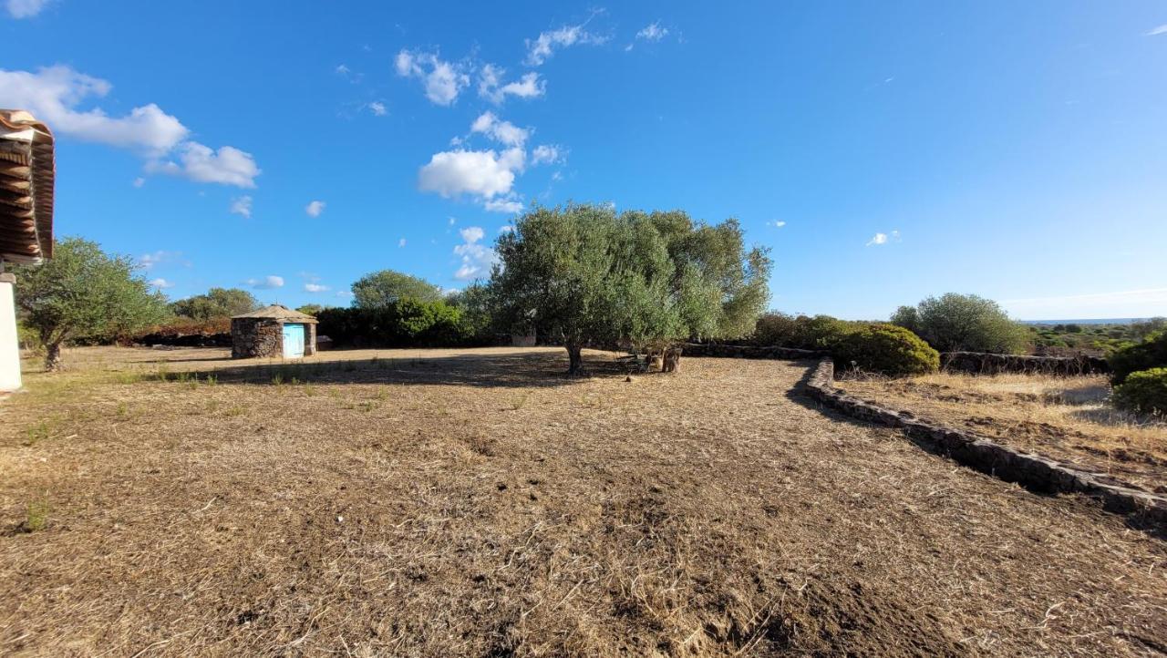 Villa Casa Mate Orosei Εξωτερικό φωτογραφία